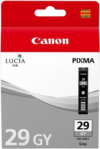 CARTUCCE INK JET ORIGINALI Cartuccia Originale Grigio (PGI-29GY)