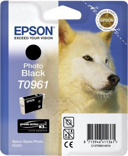 CARTUCCE INK JET ORIGINALI Cartuccia Originale Nero Foto (T0961)